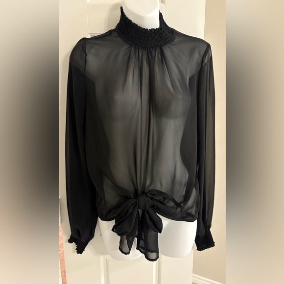 Elegant sheer Smocked Mock Neck Tie Front Top - Picture 2 of 5